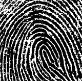Single black fingerprint - simple monochrome image