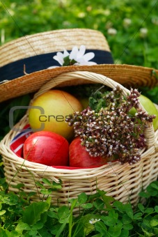 Basket with apples and herbs