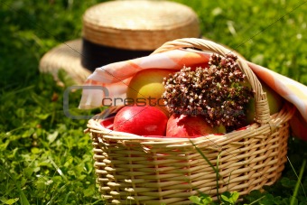 Basket with apples and herbs