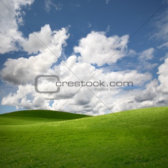 Green field Landscape 