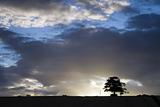 Evening in Aberdeenshire