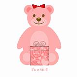Pink Girl Teddy Bear with Gift