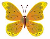 A beautiful red butterfly isolated.  EPS10 Vector