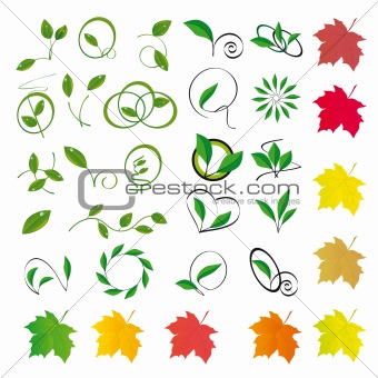 Collection of colored leaves to the design