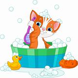 Cat having a  bath