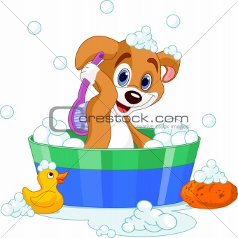 Dog having a  bath