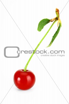 Cherry red
