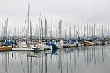 Sailboats at Anacortes Harbor, Washington