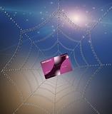 Credit card caught in web