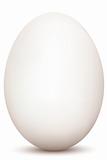 an egg