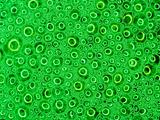 Soap bubbles with reflections macro with green colored background