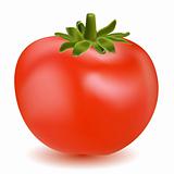 tomato vegetable