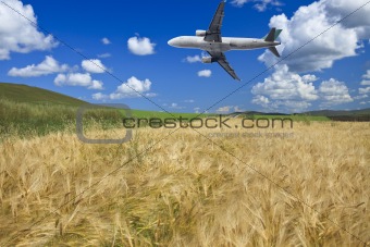 airplane and wheat field