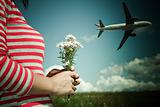 airplane and flower