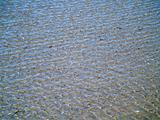 Ocean Ripples in Shallow Water on a Beach