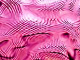 Abstract of a Pink-tone Glass Block Window