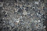 Natural gray stone - background