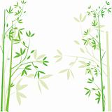 Bamboo  background, vector illustration 