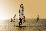 Silhouettes of three windsurfers on waves of a gulf