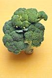Healthy Broccoli Stalks