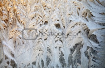 An ornament of frost on a window