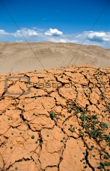 cracked earth, a desert