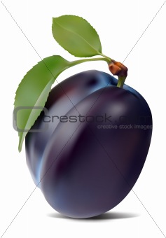 plum and leaves