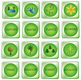 Set natural green buttons