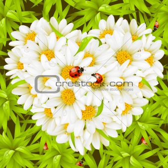 Vector seamless background: camomiles and ladybugs