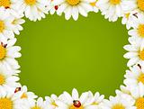 Camomile Floral Frame