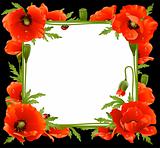 Poppy Floral Frame