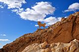 Statue of a mountain goat in Chebika, Tunisia