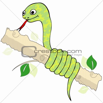 Snake twisting branch