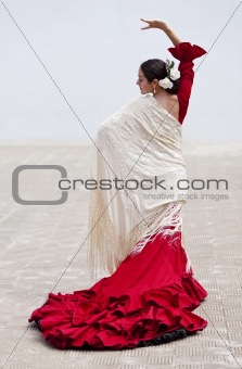 Traditional Woman Spanish Flamenco Dancer In Red Dress 