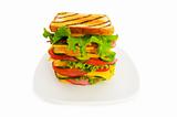 Plate with sandwich isolated on the white