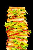 Tall sandwich isolated on the black background
