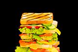 Sandwich isolated on the black background