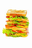 Giant sandwich isolated on the white background