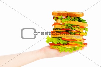 Hand holding sandwich isolated on the white background
