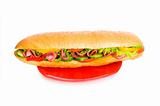Long sandwich isolated on the white background
