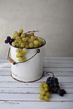 grapes harvest vertical