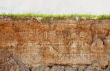 Clay soil with cracks and green grass