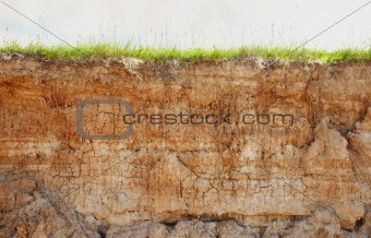 Clay soil with cracks and green grass