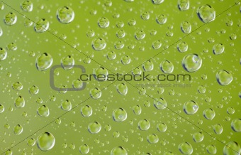 Droplets of rain water