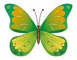 A beautiful green butterfly isolated.  EPS10 Vector