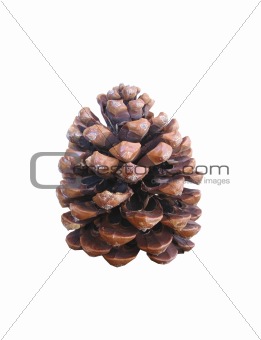 cone isolated on white background