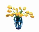 beautiful bouquet of yellow tulips in vase isolated on white bac