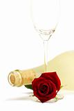 wet red rose with a dull prosecco bottle and a empty champagne glass