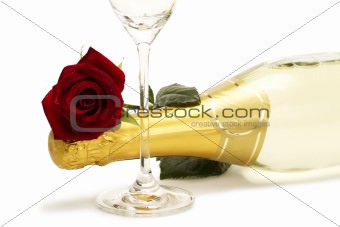 wet red rose on a champagne bottle behind a champagne glass