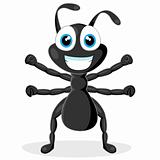cute little black ant